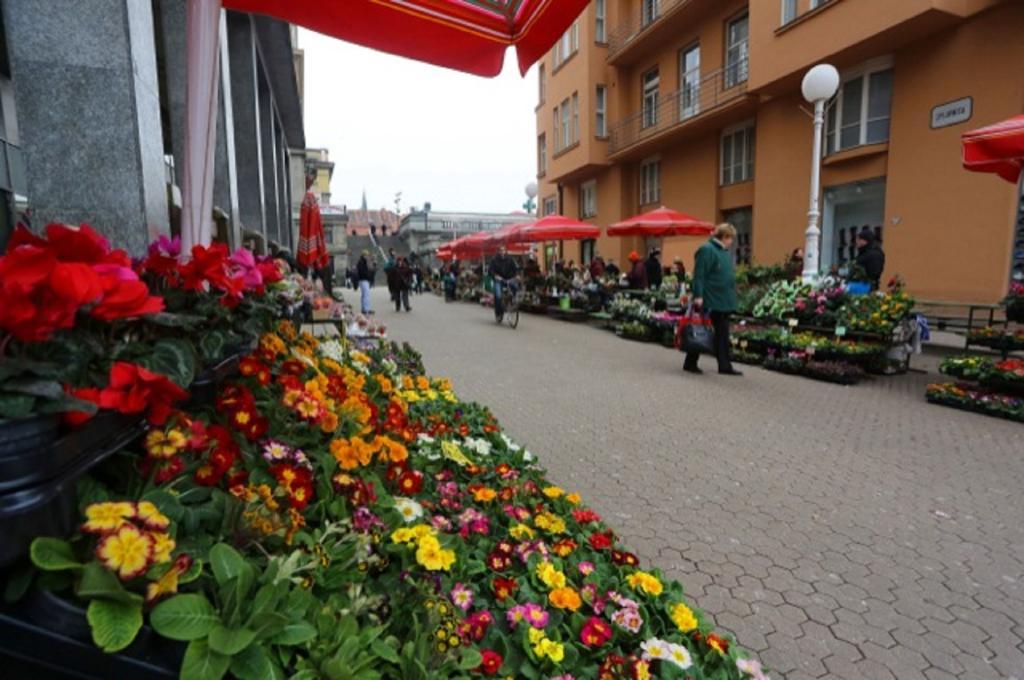 Main Square Apartment Zágráb Szoba fotó